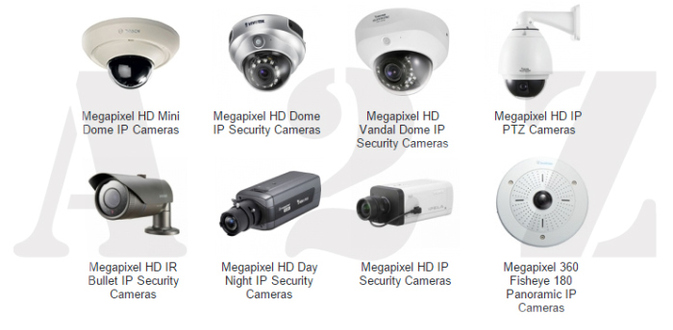 Security Systems Software